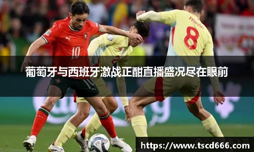 葡萄牙与西班牙激战正酣直播盛况尽在眼前